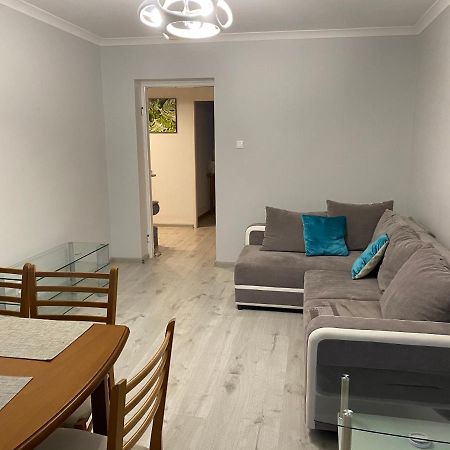 Apartament Przy Katedrze Gorzów Wielkopolski Exteriör bild
