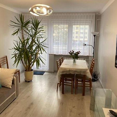 Apartament Przy Katedrze Gorzów Wielkopolski Exteriör bild